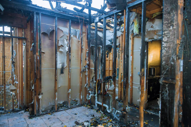 Professional Fire Damage Removal technician working in Alamo Heights, TX